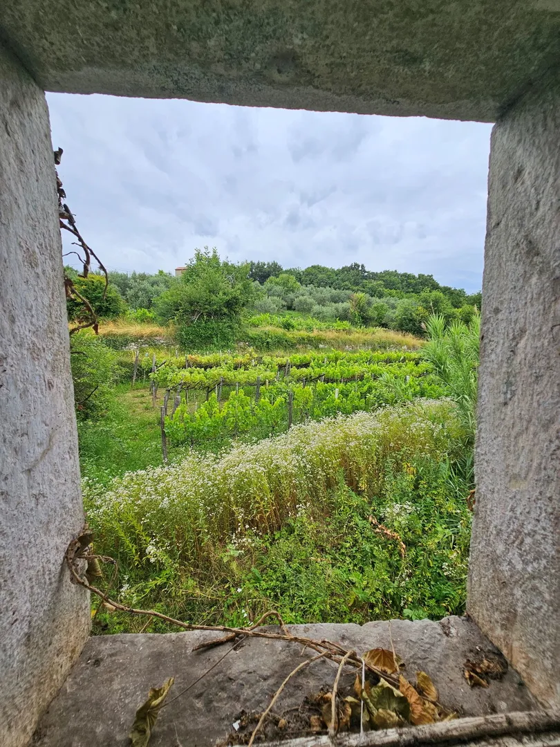 stancija u okolici grožnjana s velikim terenom i otvorenim pogledom - slika 9