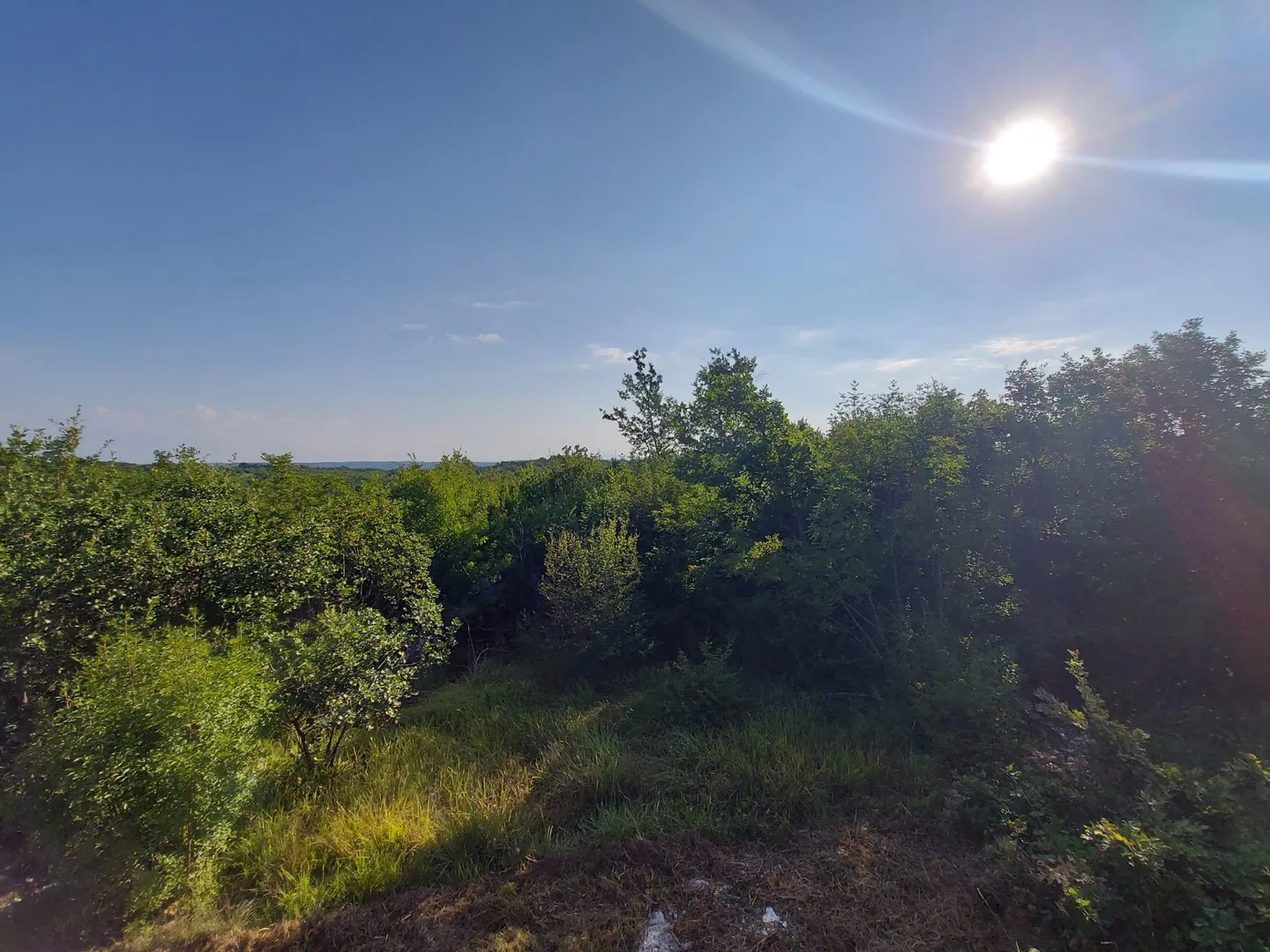 odlična prilika ,prodajemo cijelo brdo s pogledom na more i s malom kamenom kućicom u blizini rovinja - slika 6