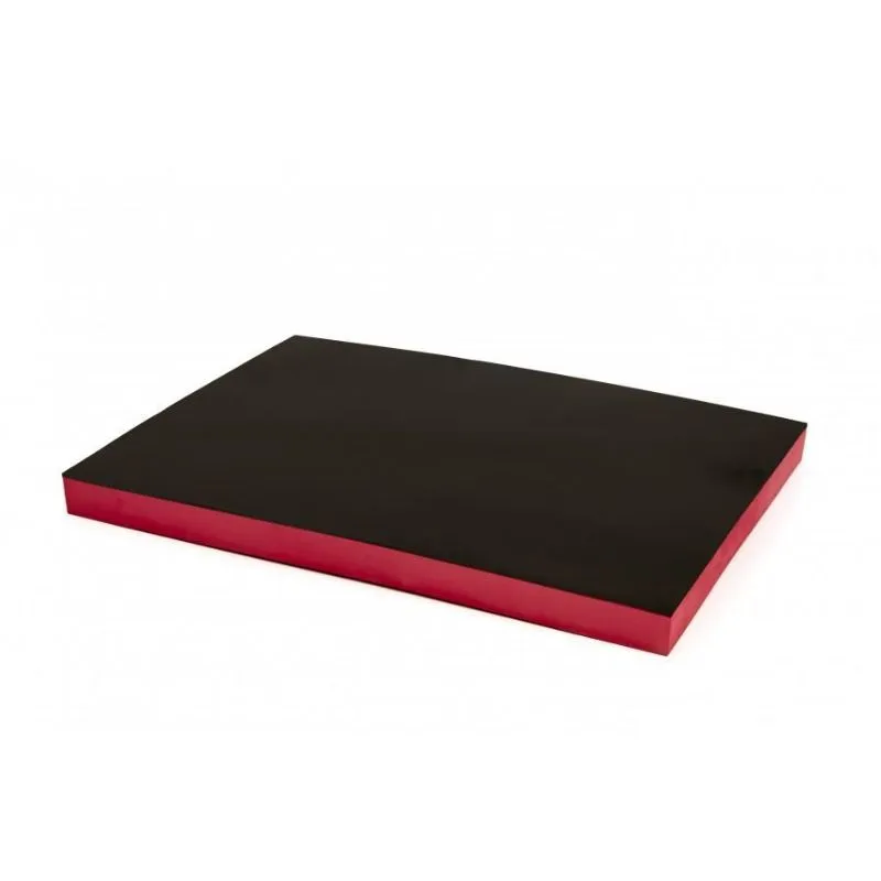 Umetak od pjene 575 x 410 x 40 mm za kolica s alatima - Prelog