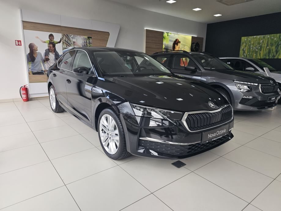 Škoda Octavia Selection 2,0 TDI - Šibenik